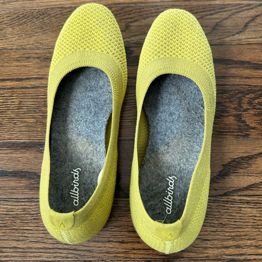 Allbirds tree breezers